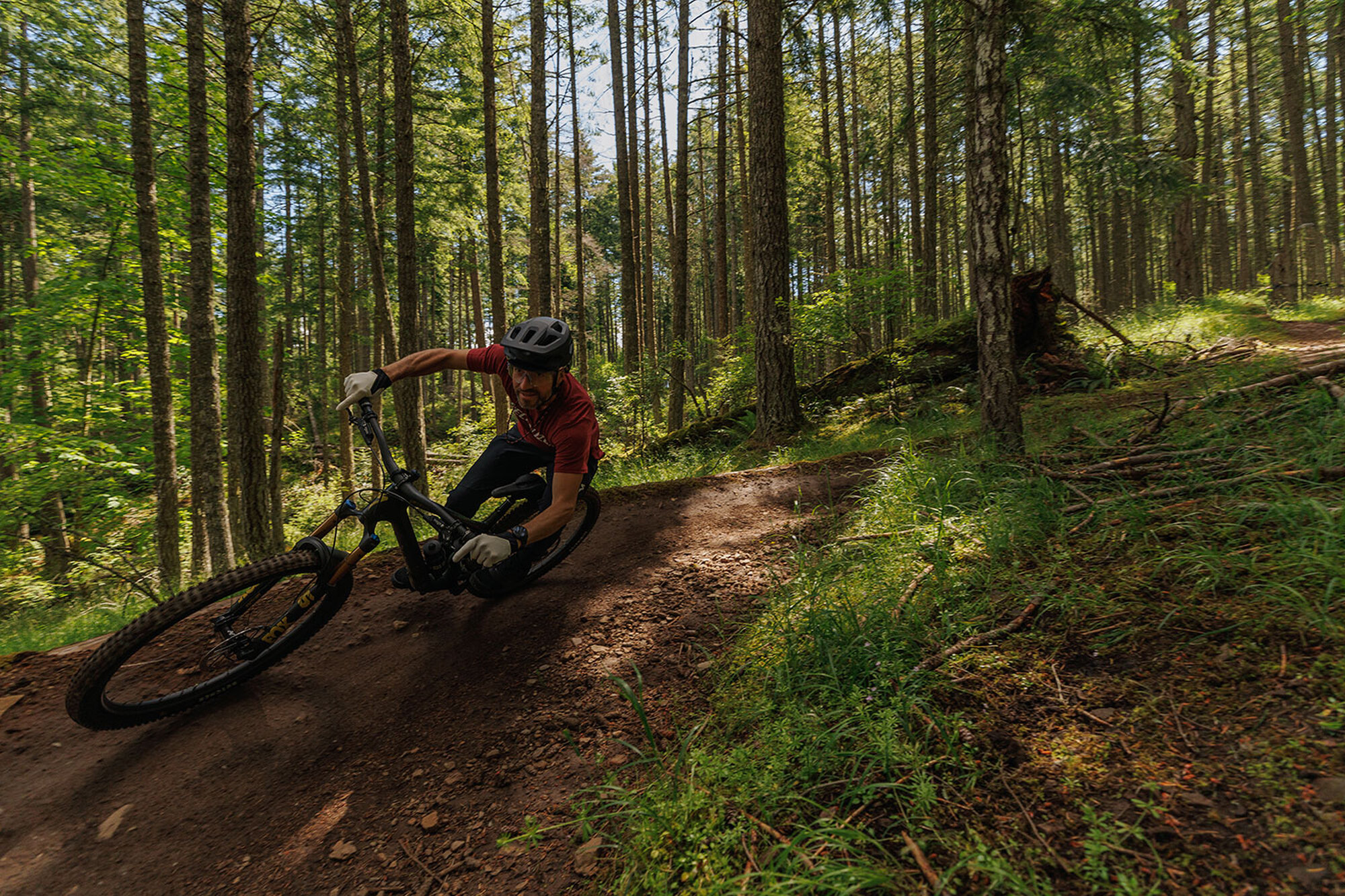 Brandneu: Specialized Stumpjumper 15 Brandneu: Specialized Stumpjumper 15