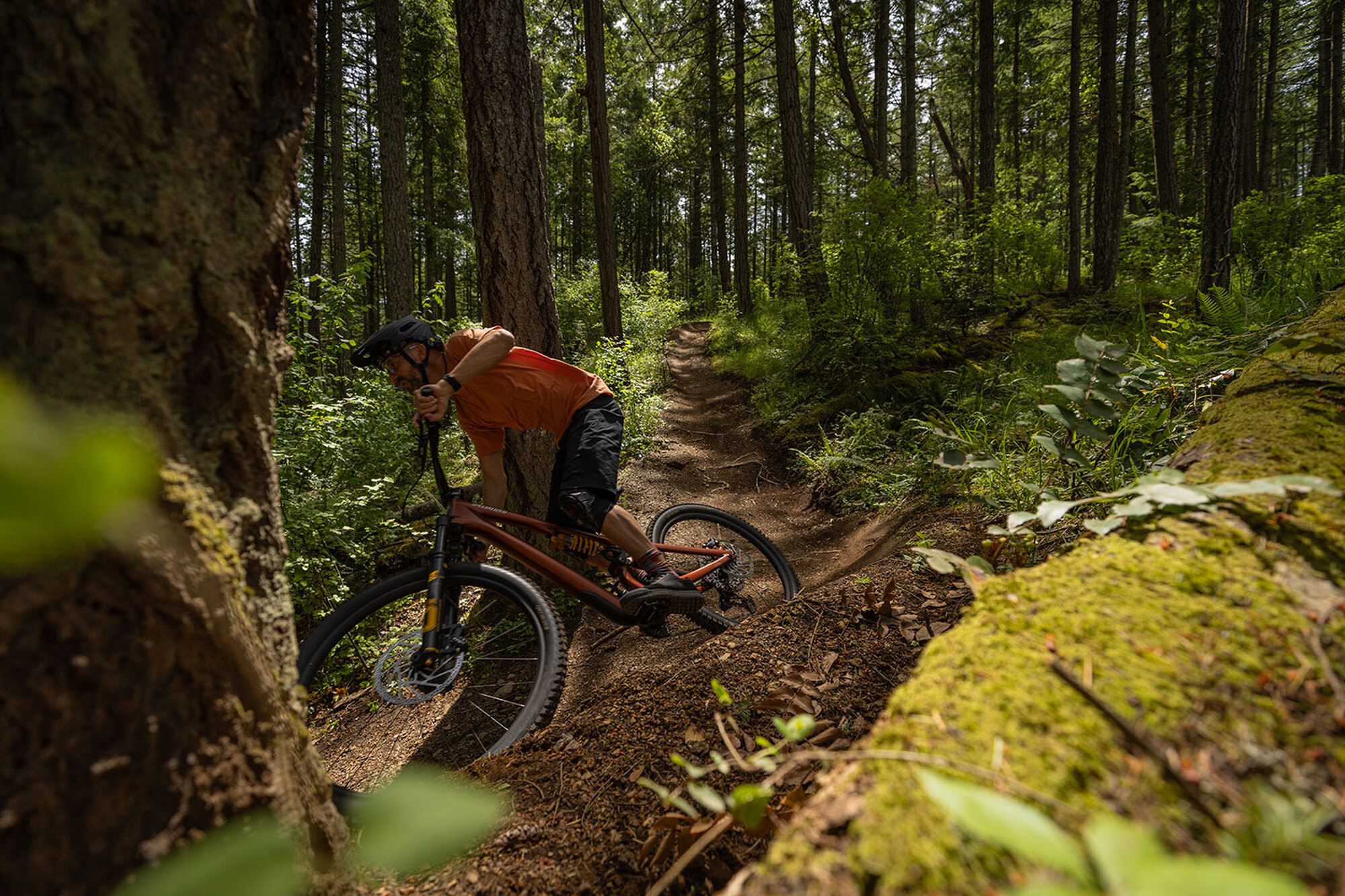 Brandneu: Specialized Stumpjumper 15 Brandneu: Specialized Stumpjumper 15