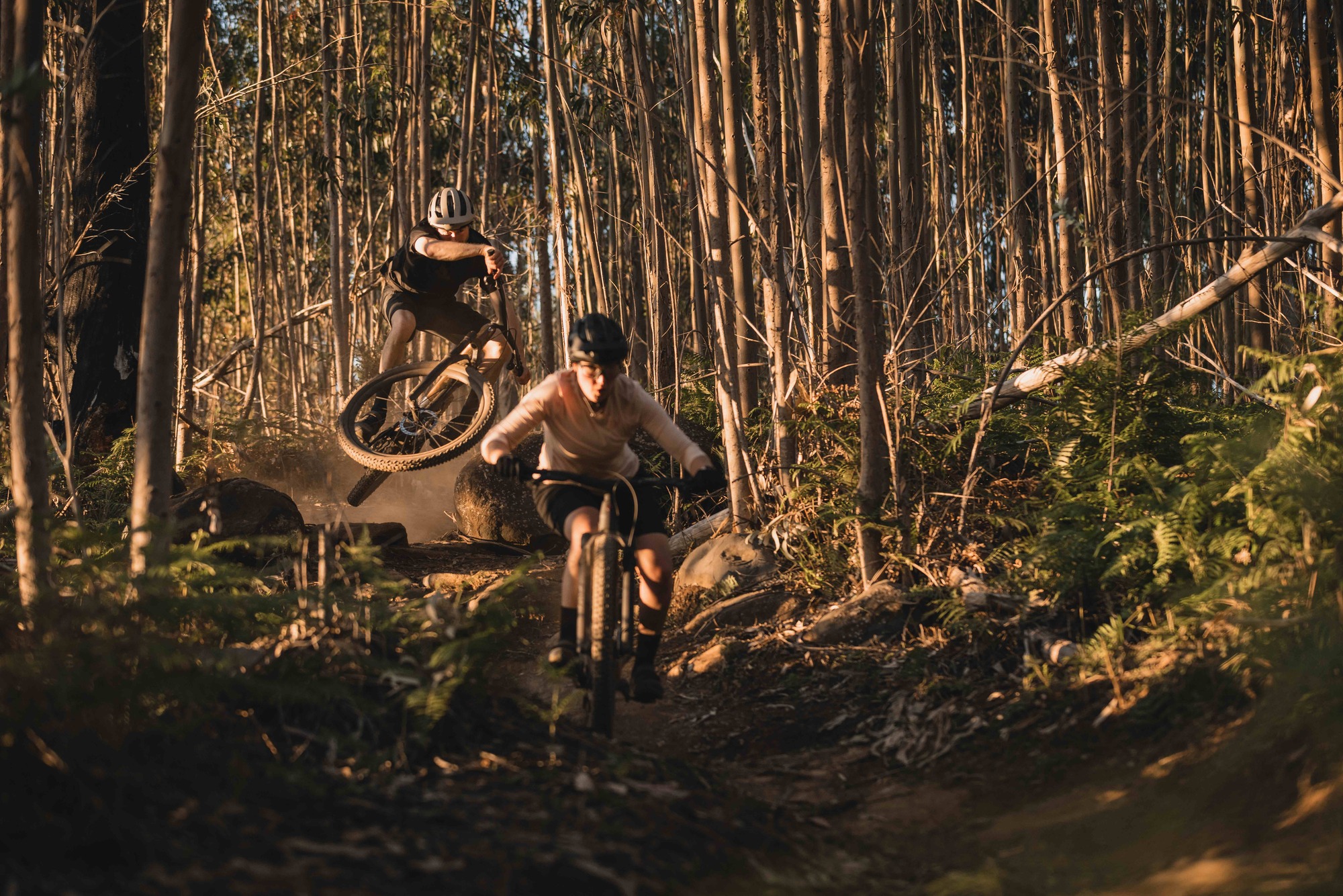 Das neue Trek Top Fuel Leichter, vielseitiger und anpassungsfähiger Das neue Trek Top Fuel Leichter, vielseitiger und anpassungsfähiger