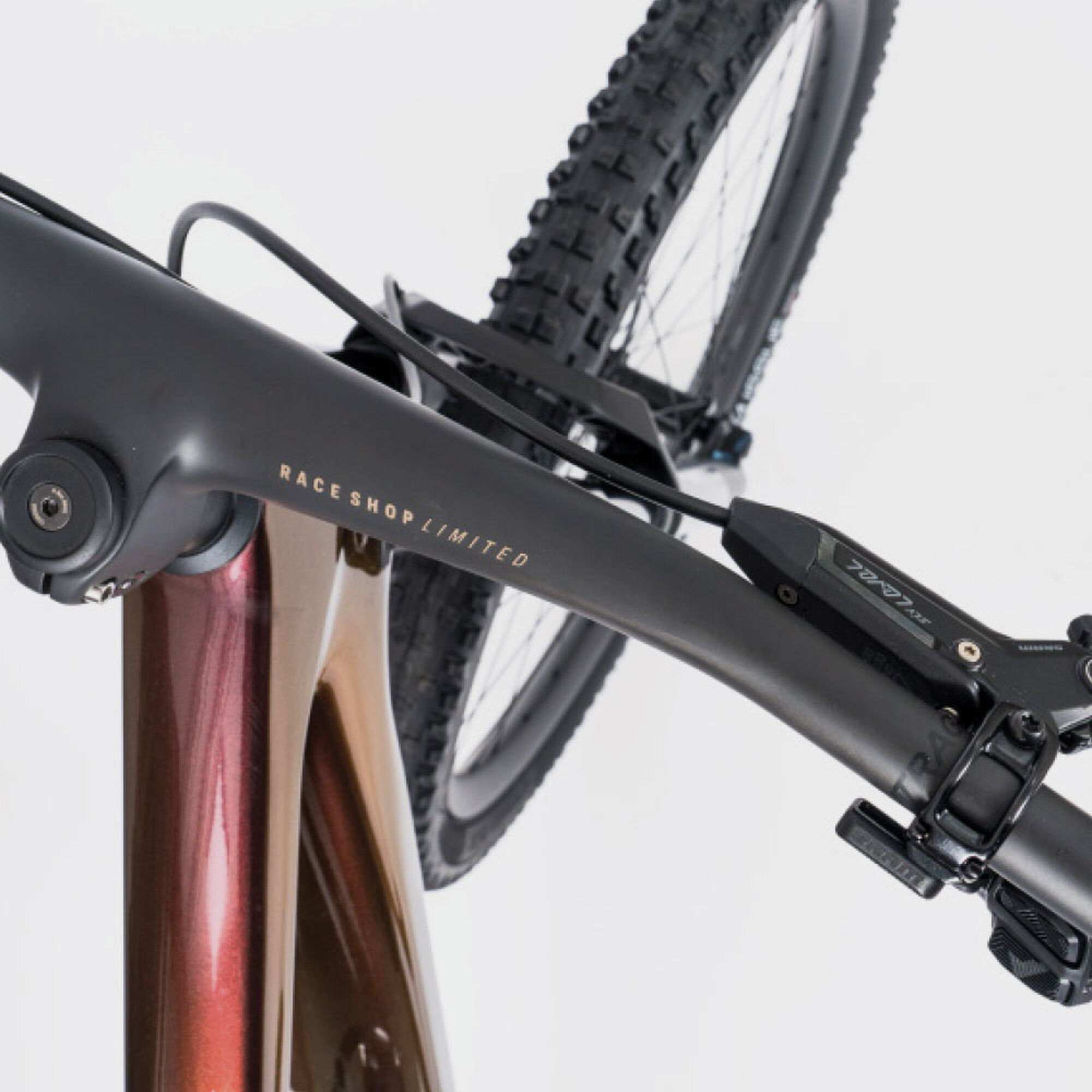 Verwandlungskünstler: Trek Top Fuel 9.9 XO AXS im Test