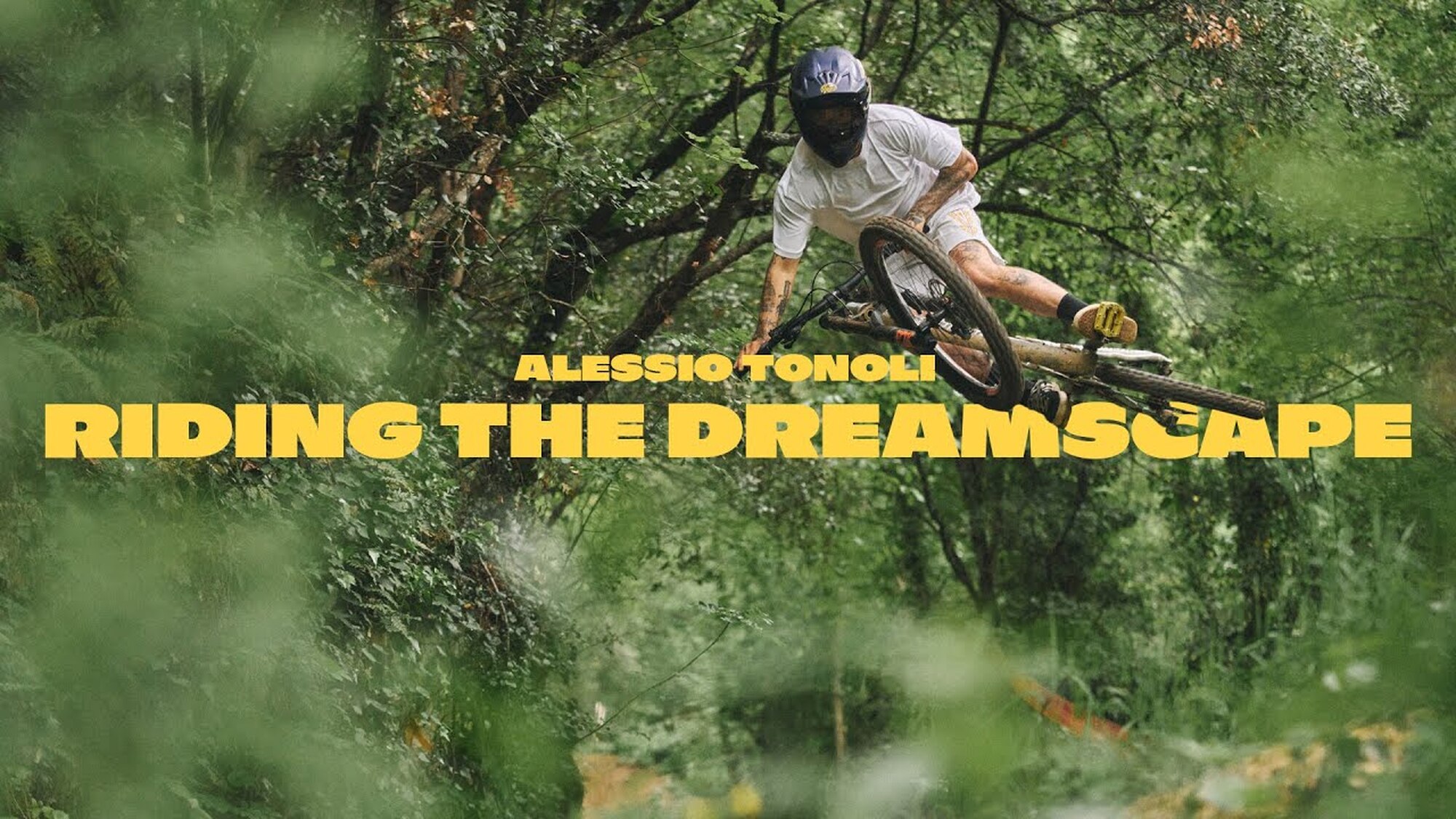 Riding the Dreamscape
