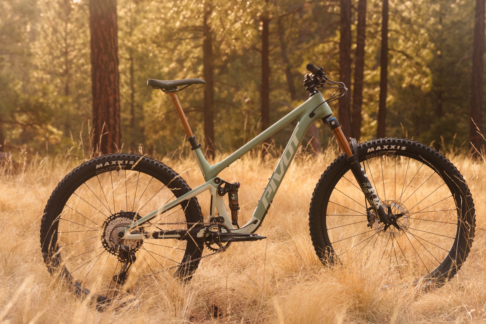 Pivot präsentiert das neue Trailcat – Nachfolger des Trail 429 Pivot präsentiert das neue Trailcat – Nachfolger des Trail 429