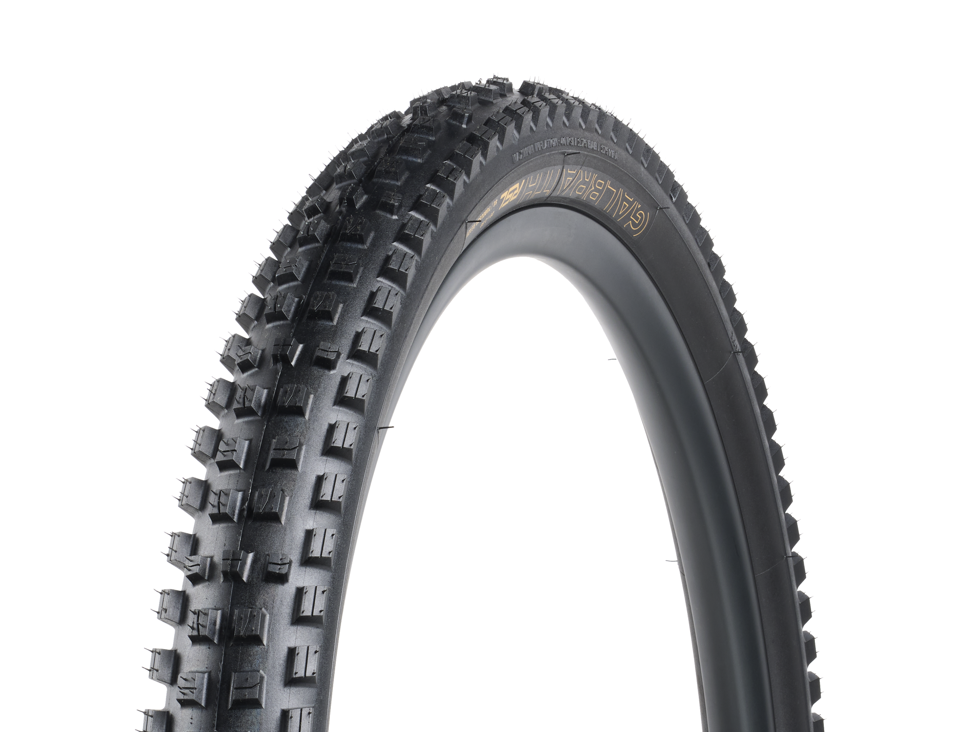 Bontrager Galbraith RSL SE