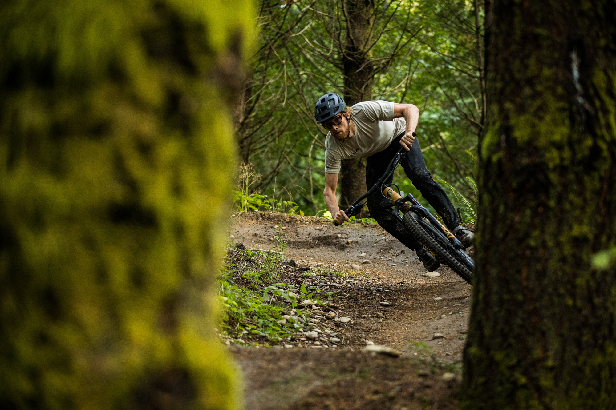 WTB Vigilante 2.5 x 29