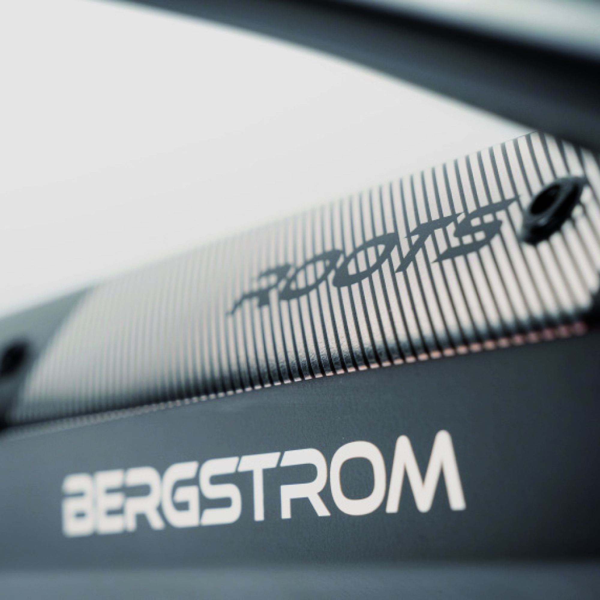 Bergstrom-2 Bergstrom-2