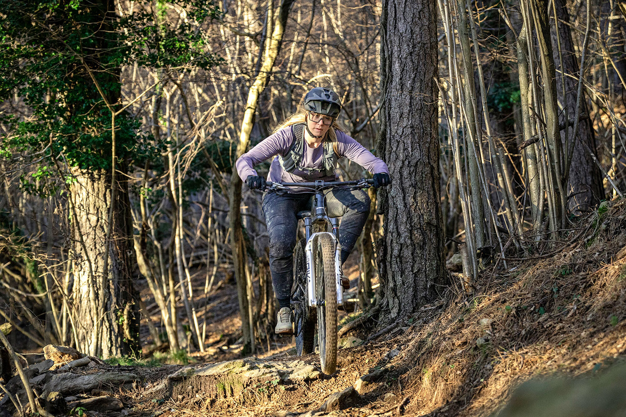 Bergstrom_Roots_3 Bergstrom_Roots_3