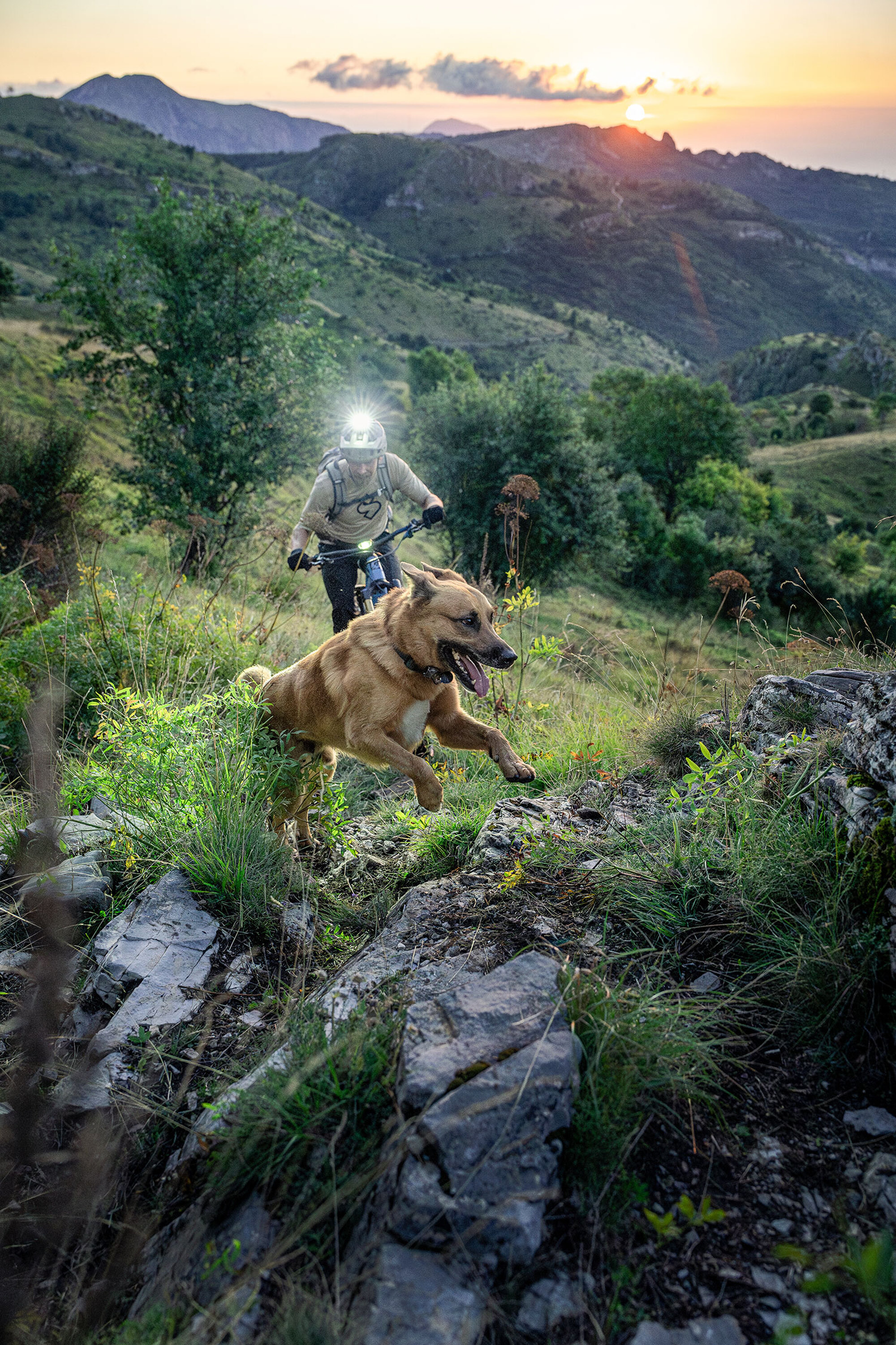 BORN-Interview-Harald-Philipp-c-Christian-Penning-2