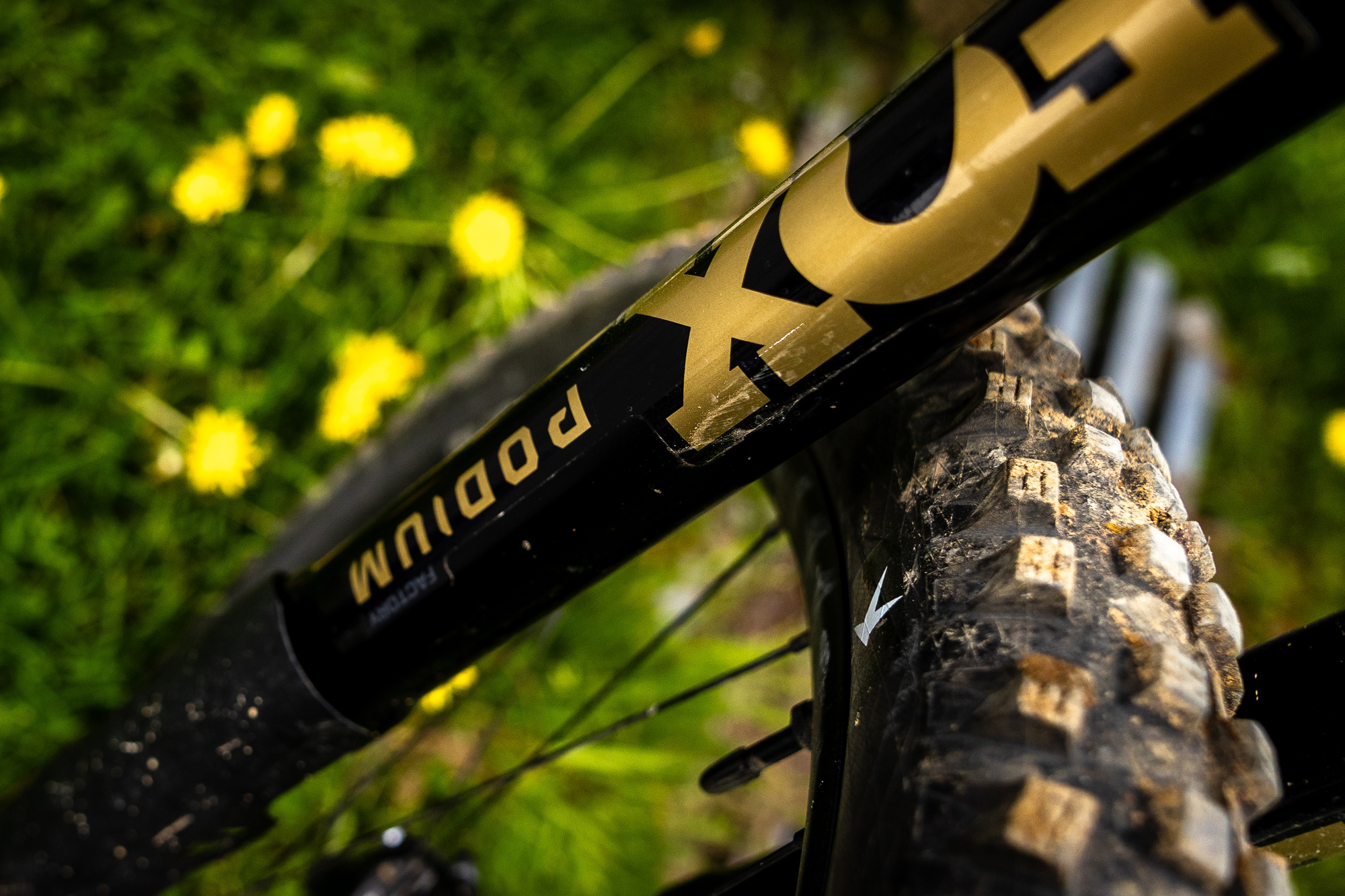 New Fox Podium Upside Down Fork12