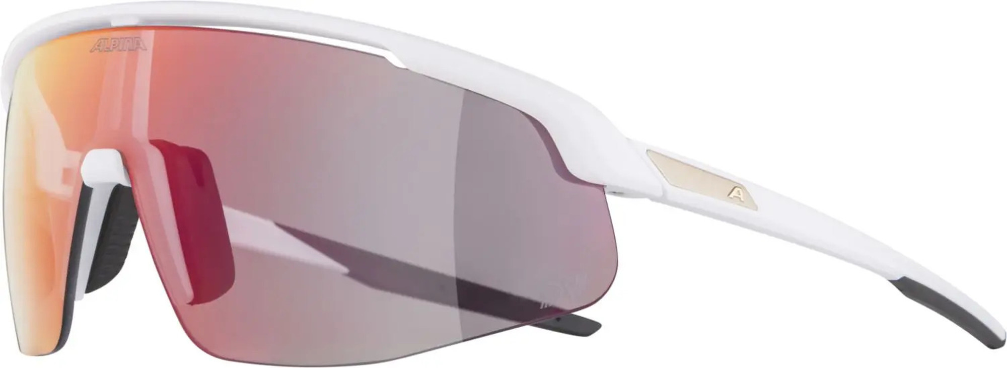alpina-turbo-pro-multisportbrille3