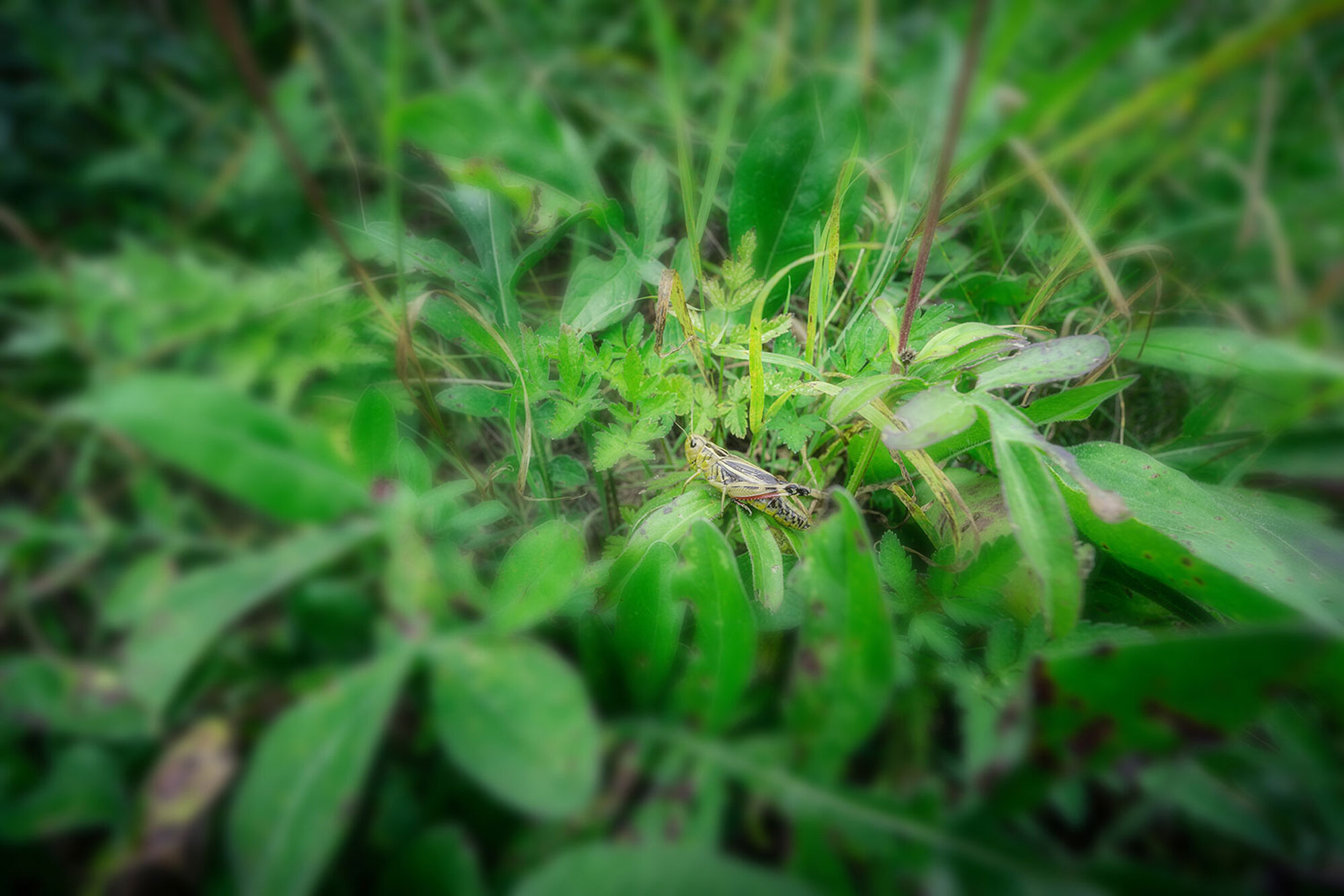 BORN-Wegweiser-Nauders-c-Christian-Penning-10