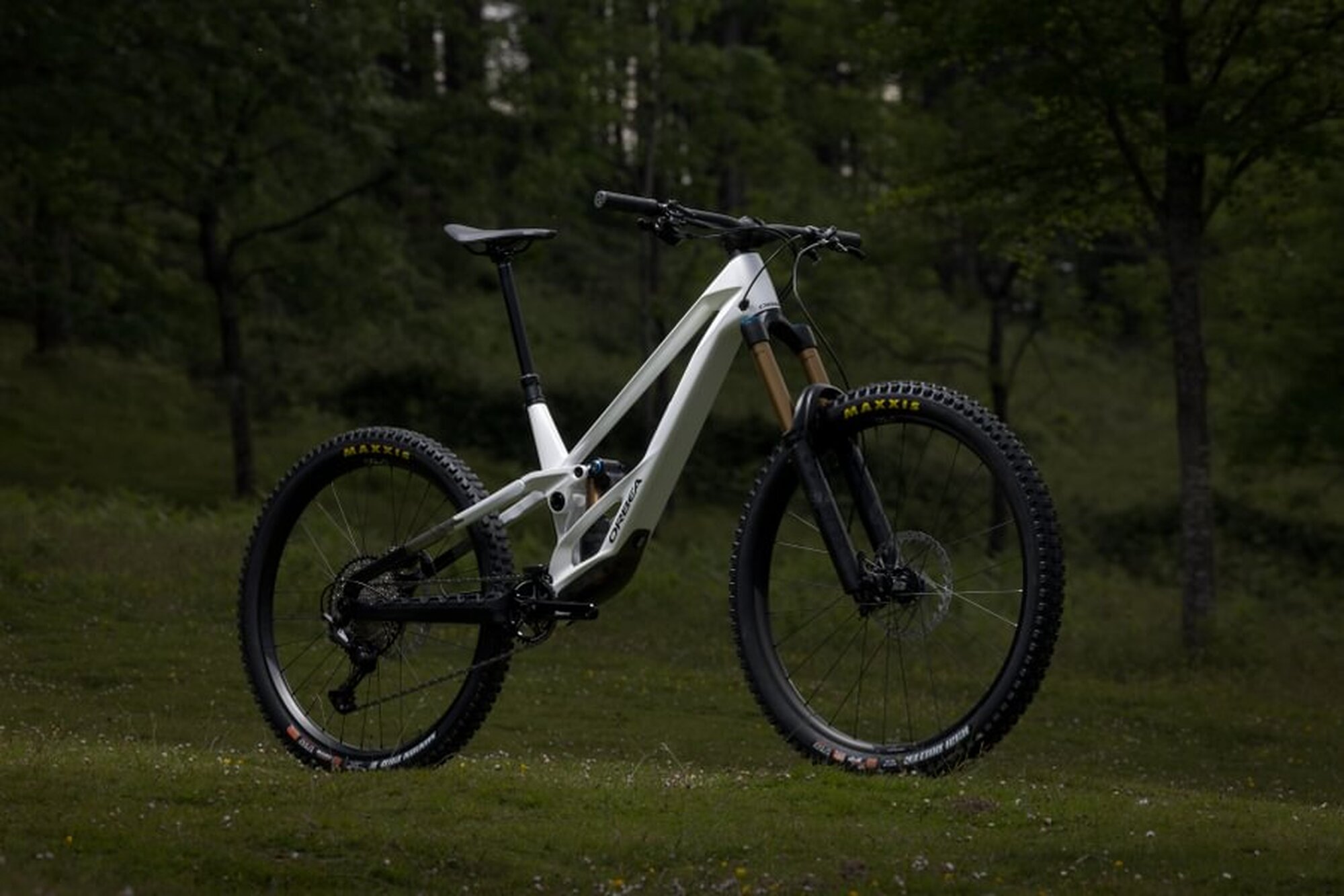 New Orbea Rallon 1