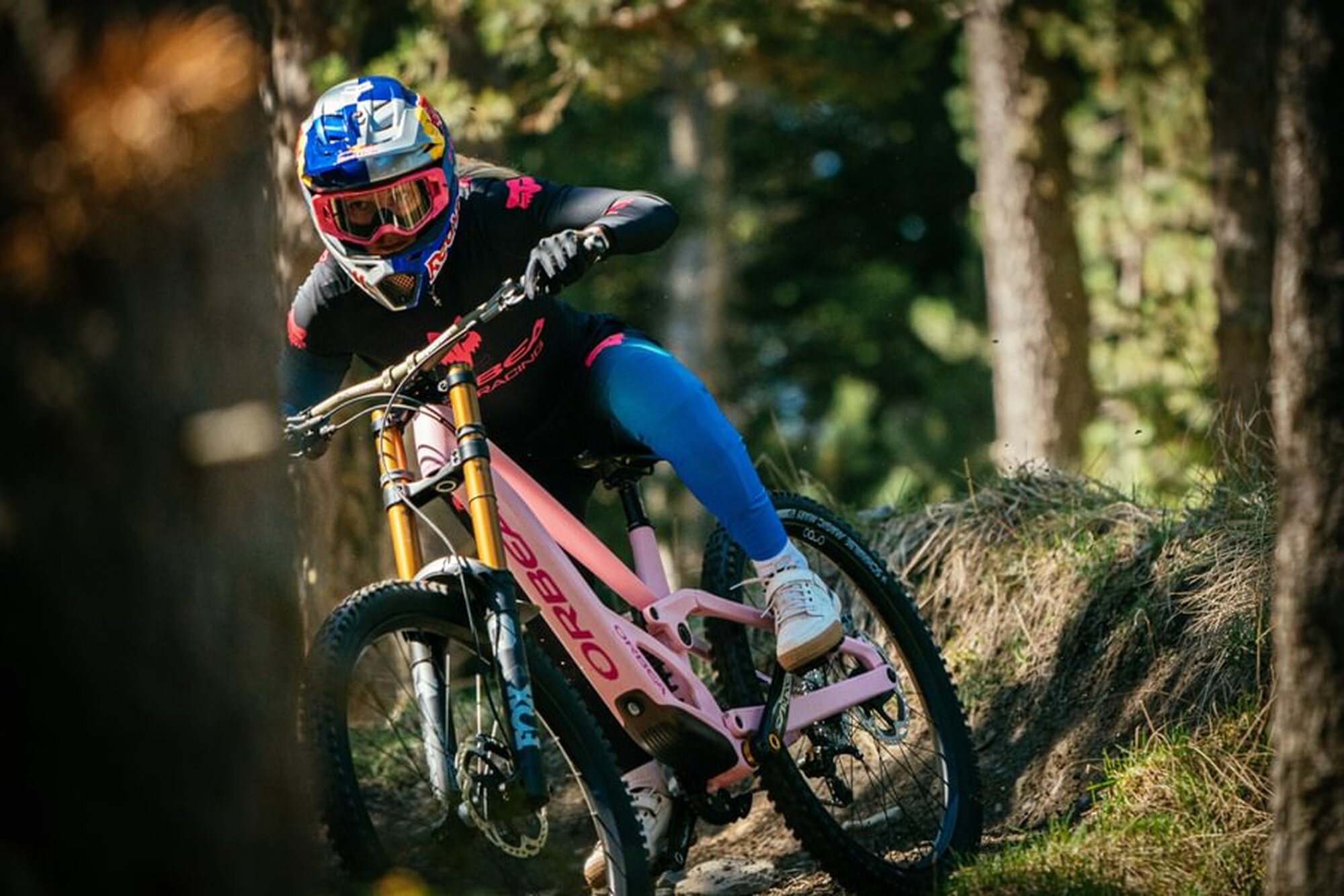 New Orbea Rallon DH New Orbea Rallon DH