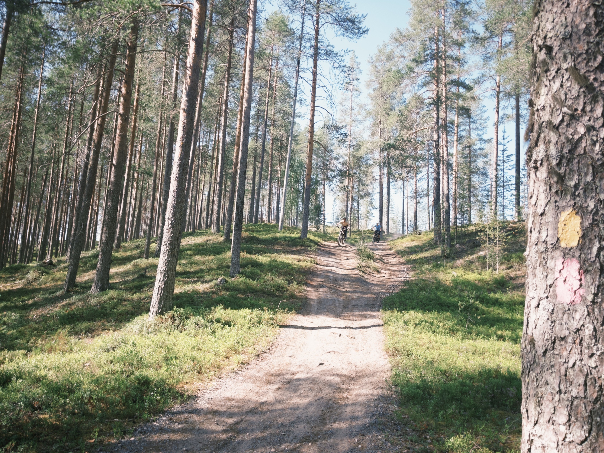 Unentdecktes Bikeparadies in Finnland: Forest-Biking und Enduro-Trails in Syöte