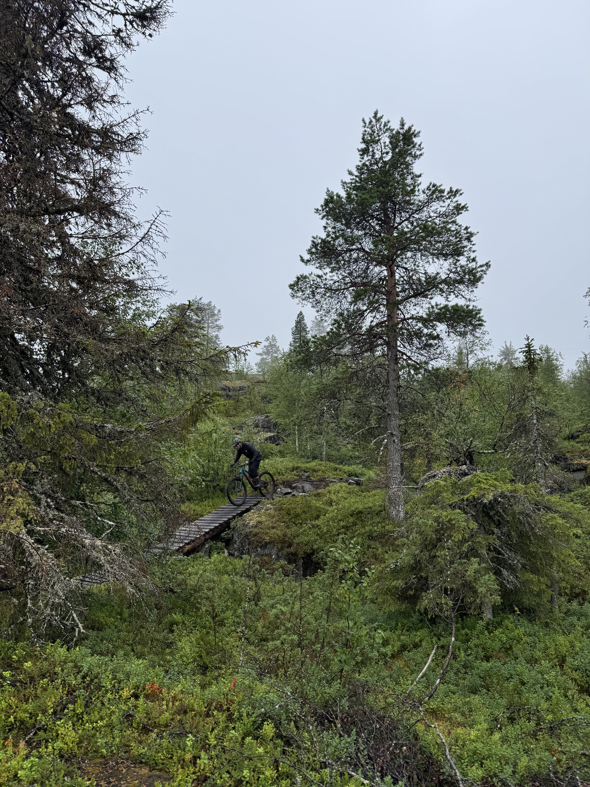 Unentdecktes Bikeparadies in Finnland: Forest-Biking und Enduro-Trails in Syöte