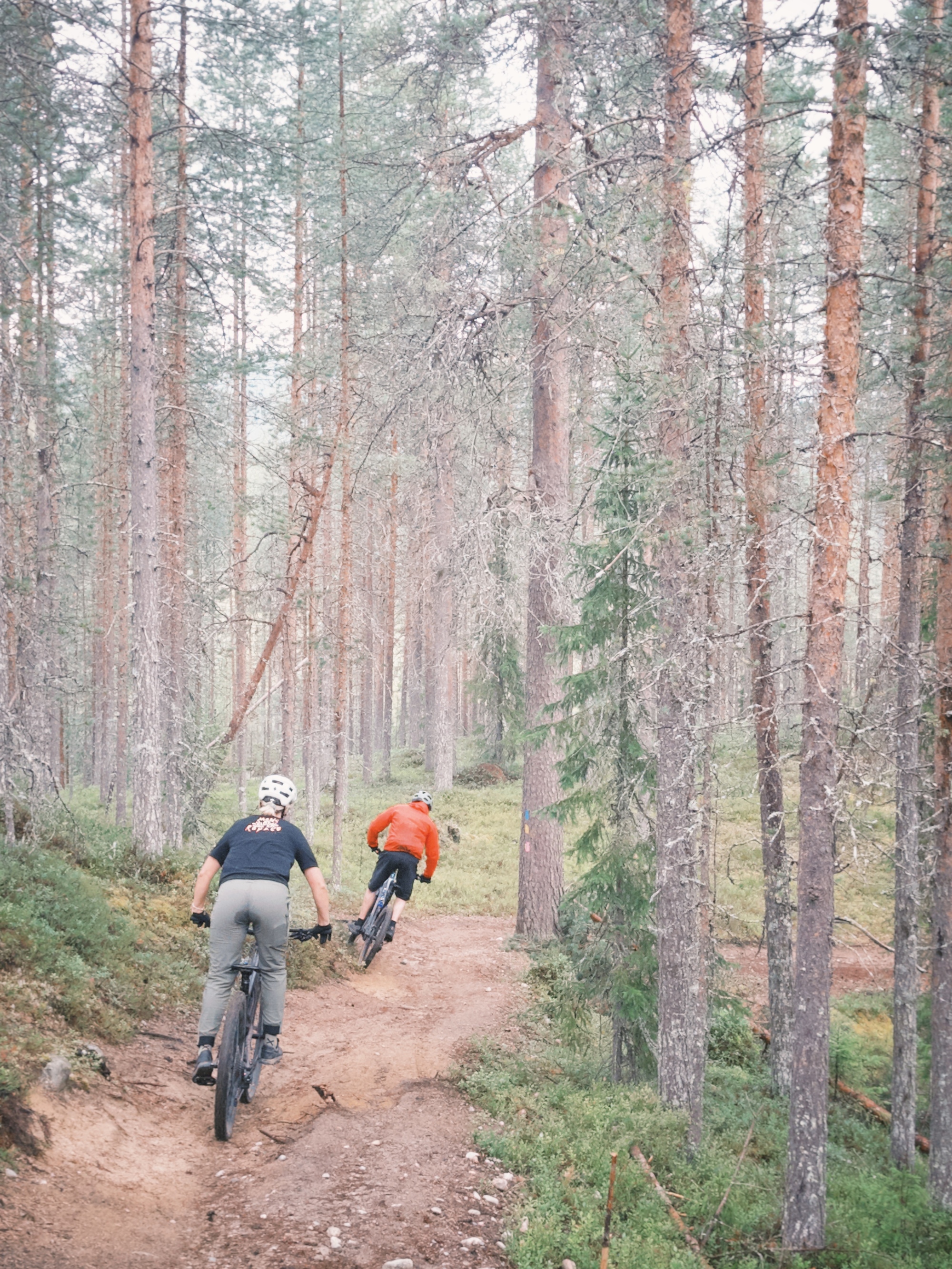 Unentdecktes Bikeparadies in Finnland: Forest-Biking und Enduro-Trails in Syöte
