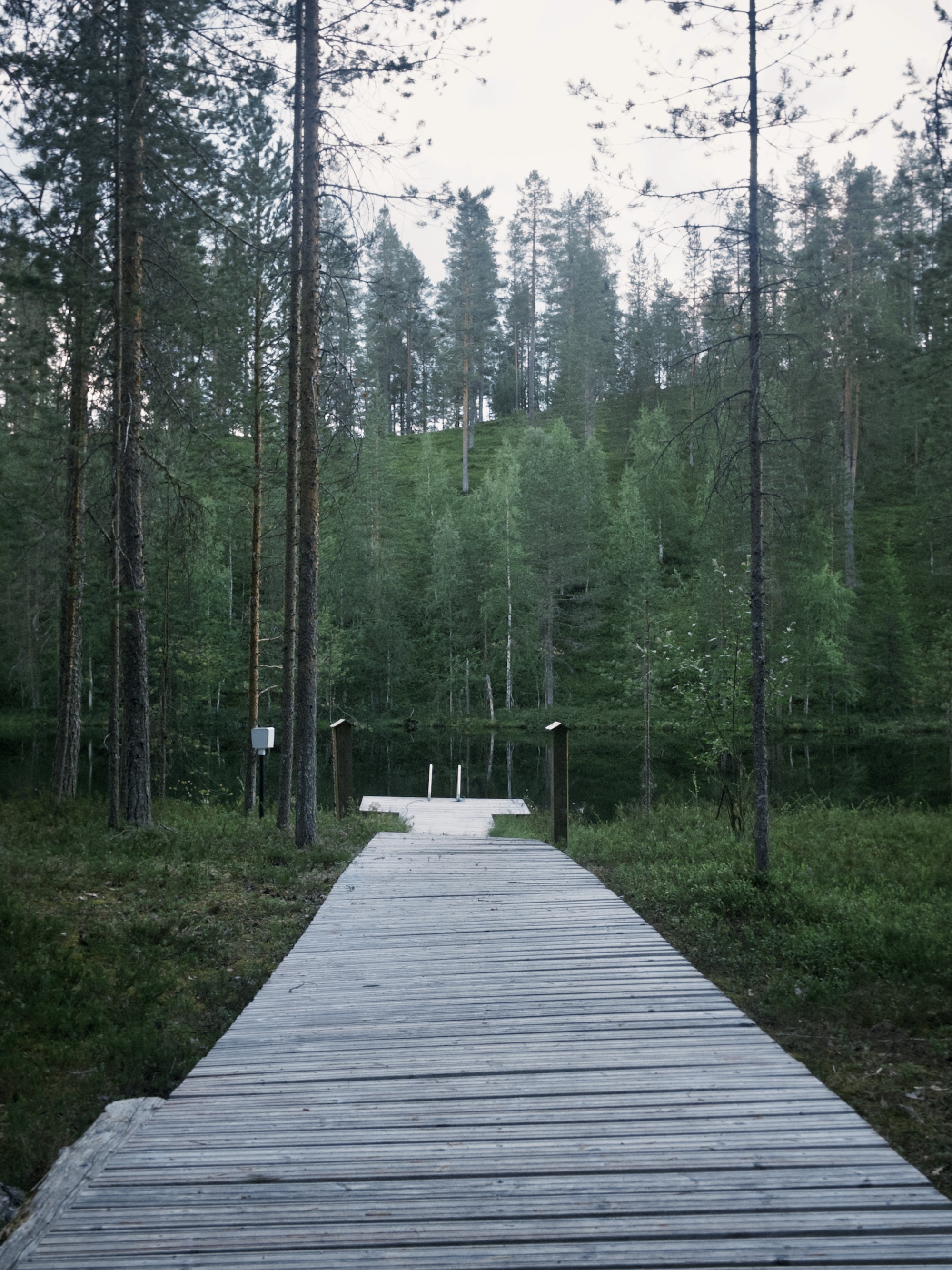 Unentdecktes Bikeparadies in Finnland: Forest-Biking und Enduro-Trails in Syöte
