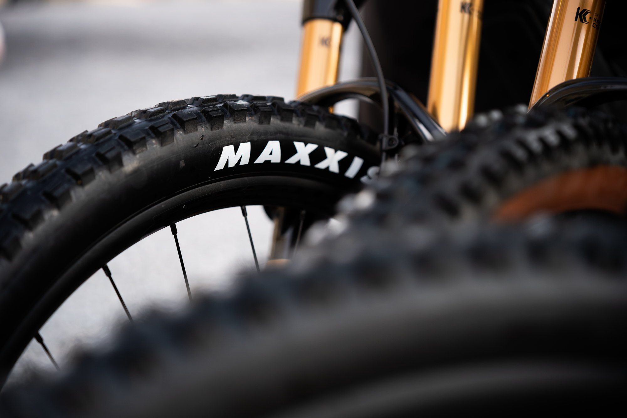 MTB Reifen Guide 2026: So findest du die richtigen Mountainbike Reifen