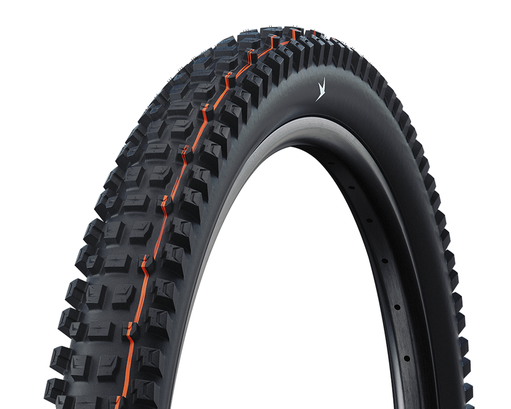 Schwalbe Albert Radial Pro