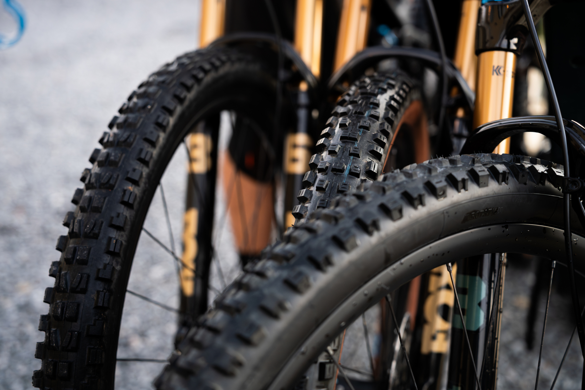 MTB Reifen Guide 2026: So findest du die richtigen Mountainbike Reifen