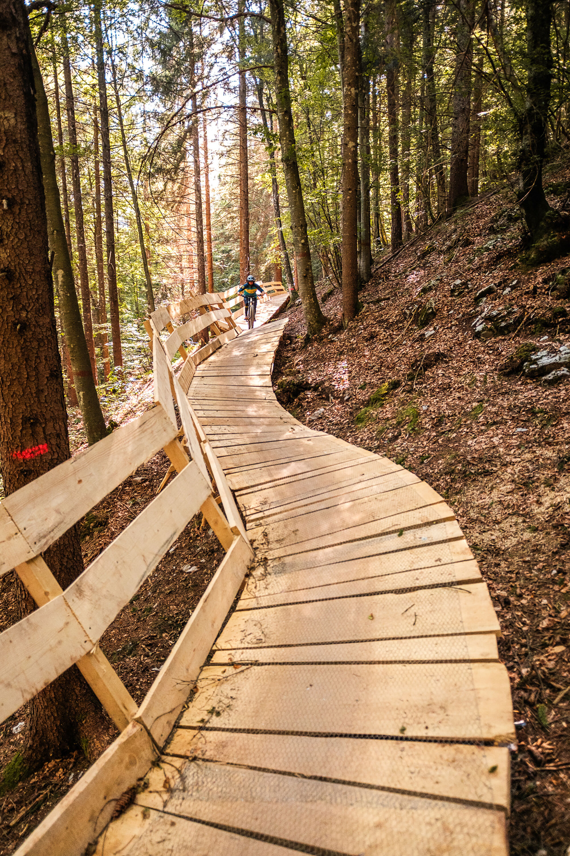 Wunschlos glücklich: Dolomiti Paganella Bike
