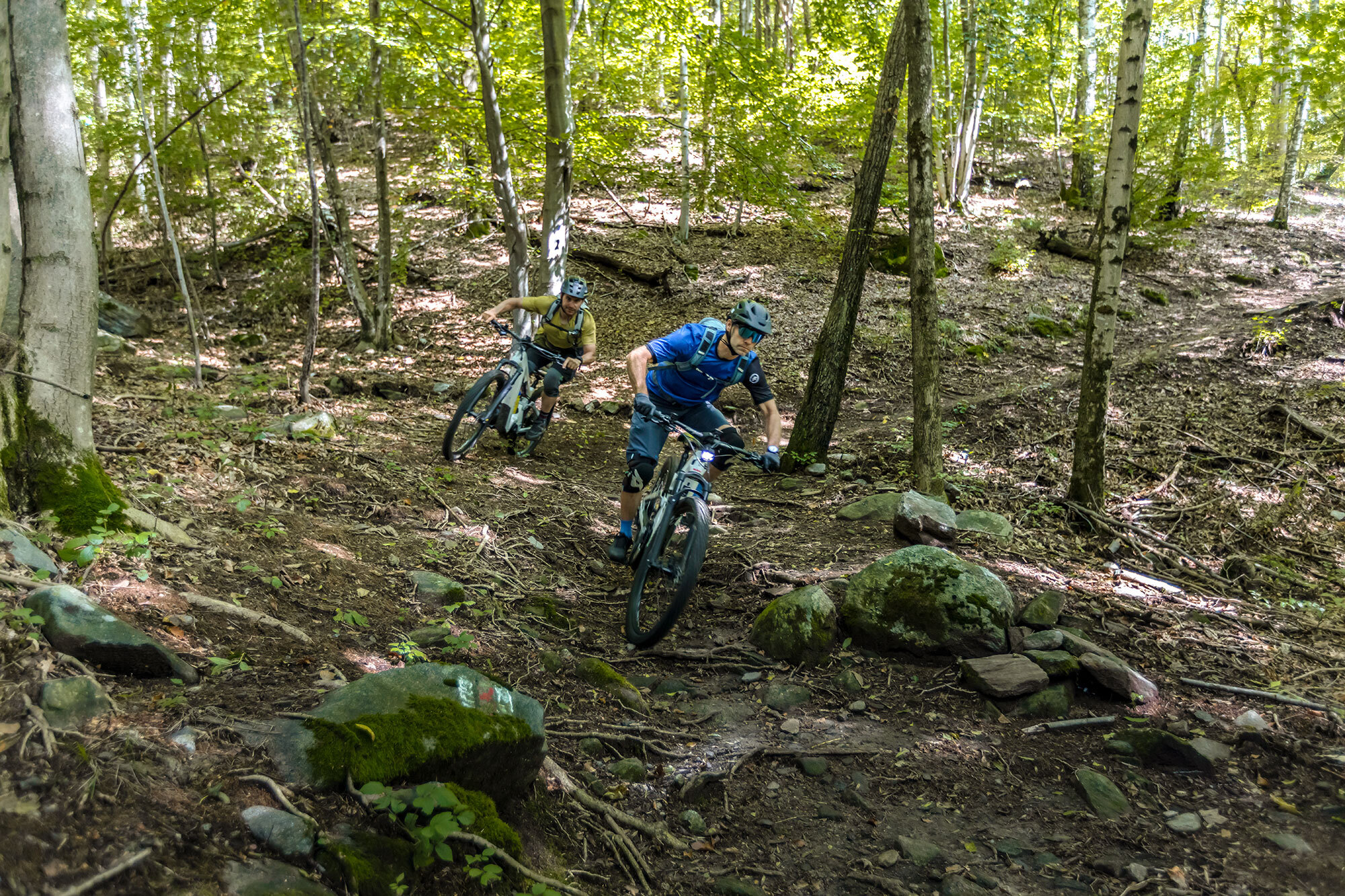 Monti Motti: Neuer Naturtrail im Tessin