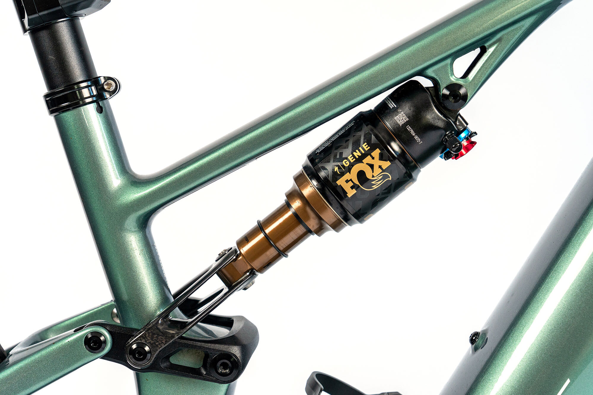 Specialized S-Works Turbo Levo R im Test